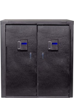 MS-series- sized-12