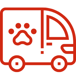 Vet Vehicle