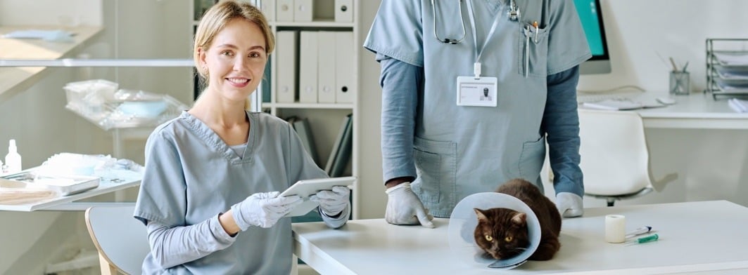 Vet clinic