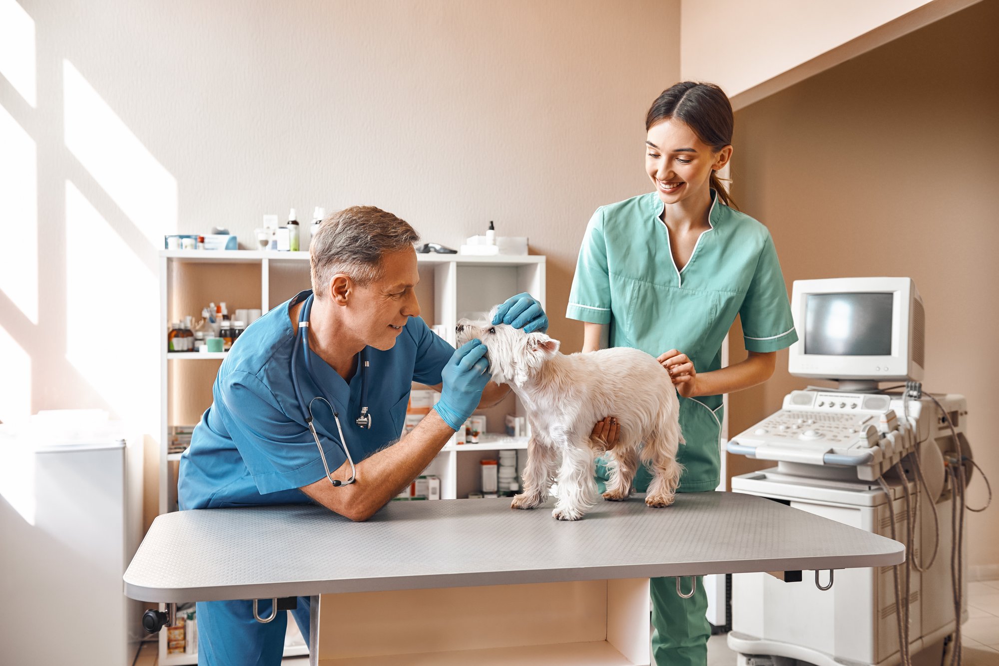 vet clinic vet clinic
